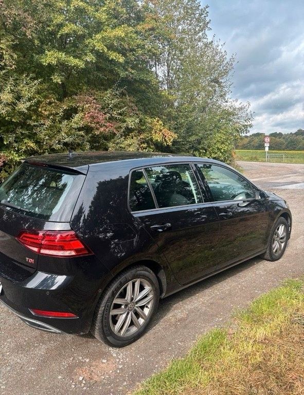 نمای دیگر فولکس واگن گلف VII TDI 1.6 BMT
