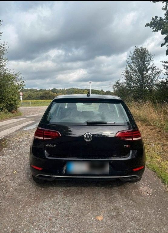 نمای دیگر فولکس واگن گلف VII TDI 1.6 BMT