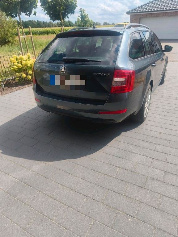نمای دیگر اشکودا اکتاویا 2.0 TDI DSG امبیشن
