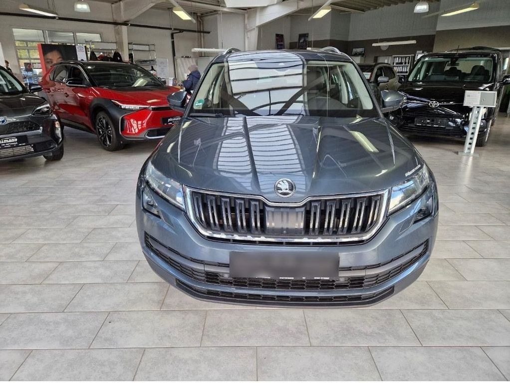نمای دیگر اشکودا کادیاک 2.0 TDI -|7 سرنشین 4x4 استایل