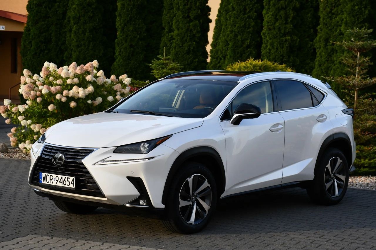 لکسوس NX 300 AWD اجکتیو لاین